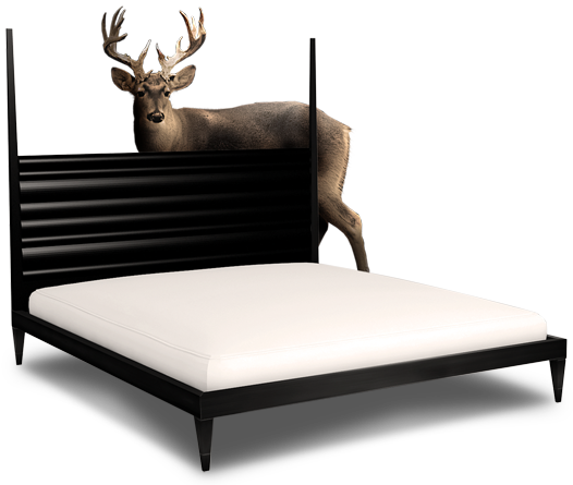 Wardrobe Designs for Small Bedroom