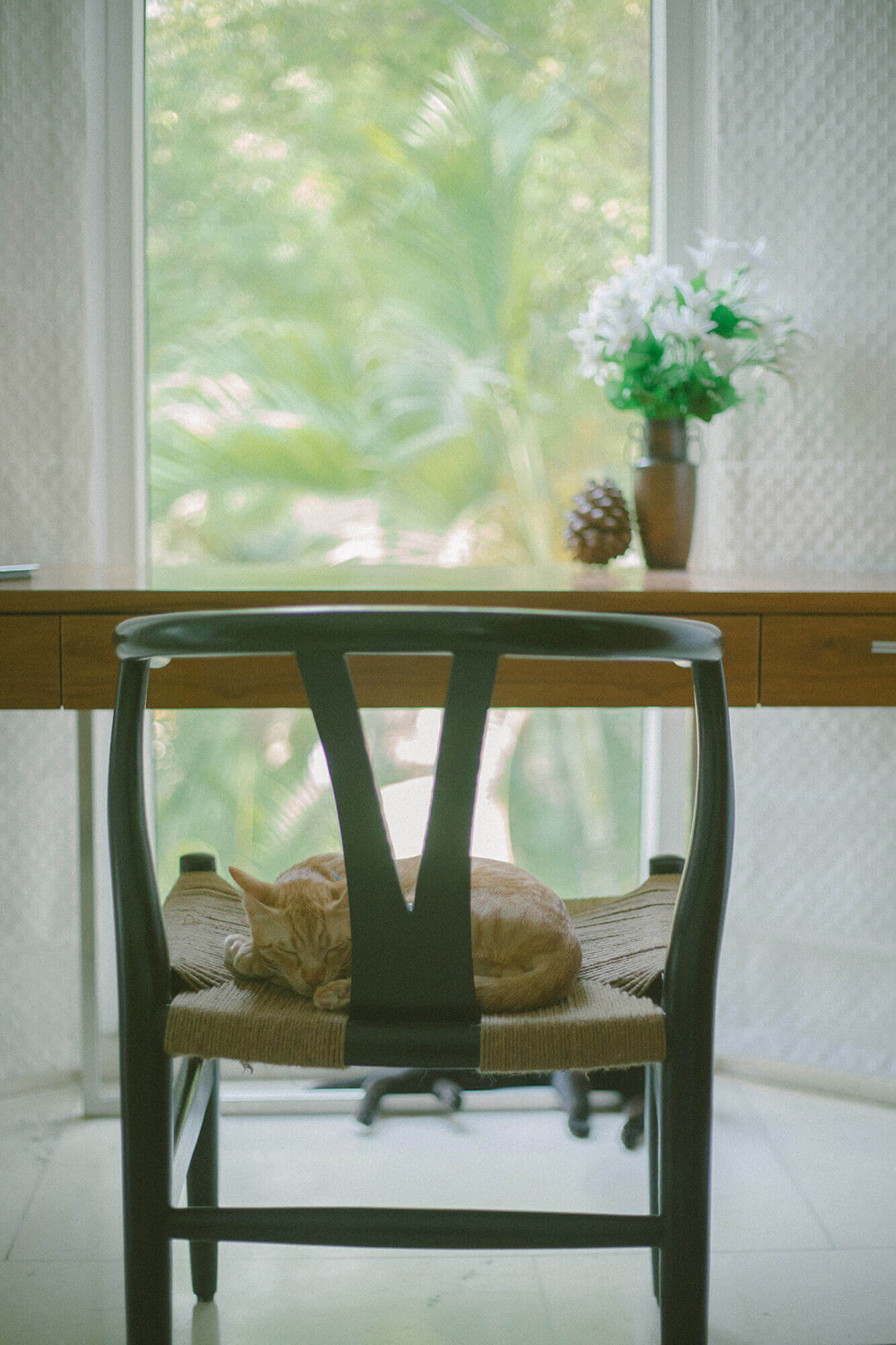 bhasin residence, gk2, new delhi